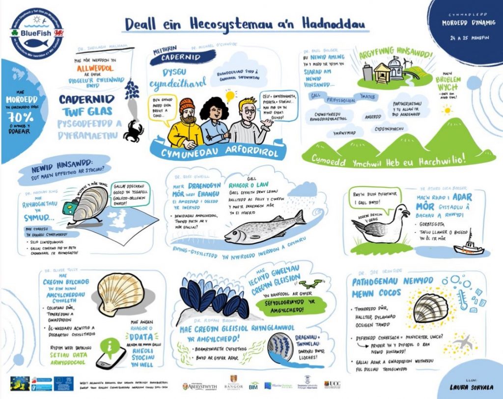 Deall ein Hecosystemau a’n Hadnoddau