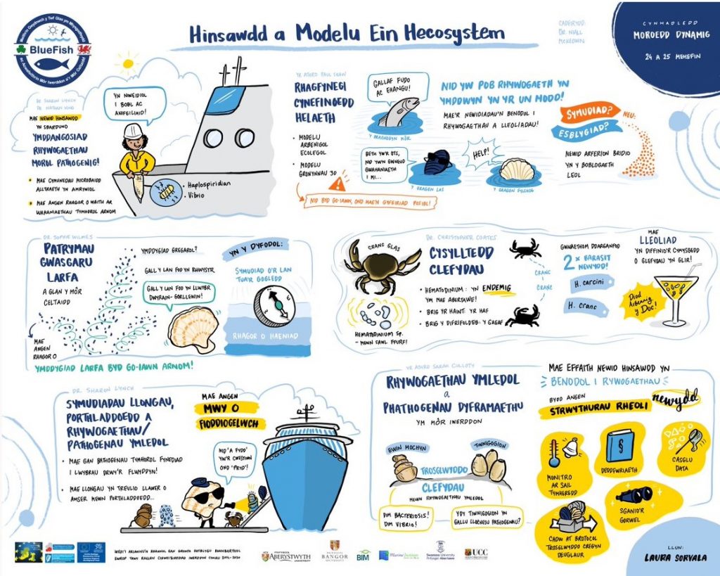 Hinsawdd a Modelu Ein Hecosystem