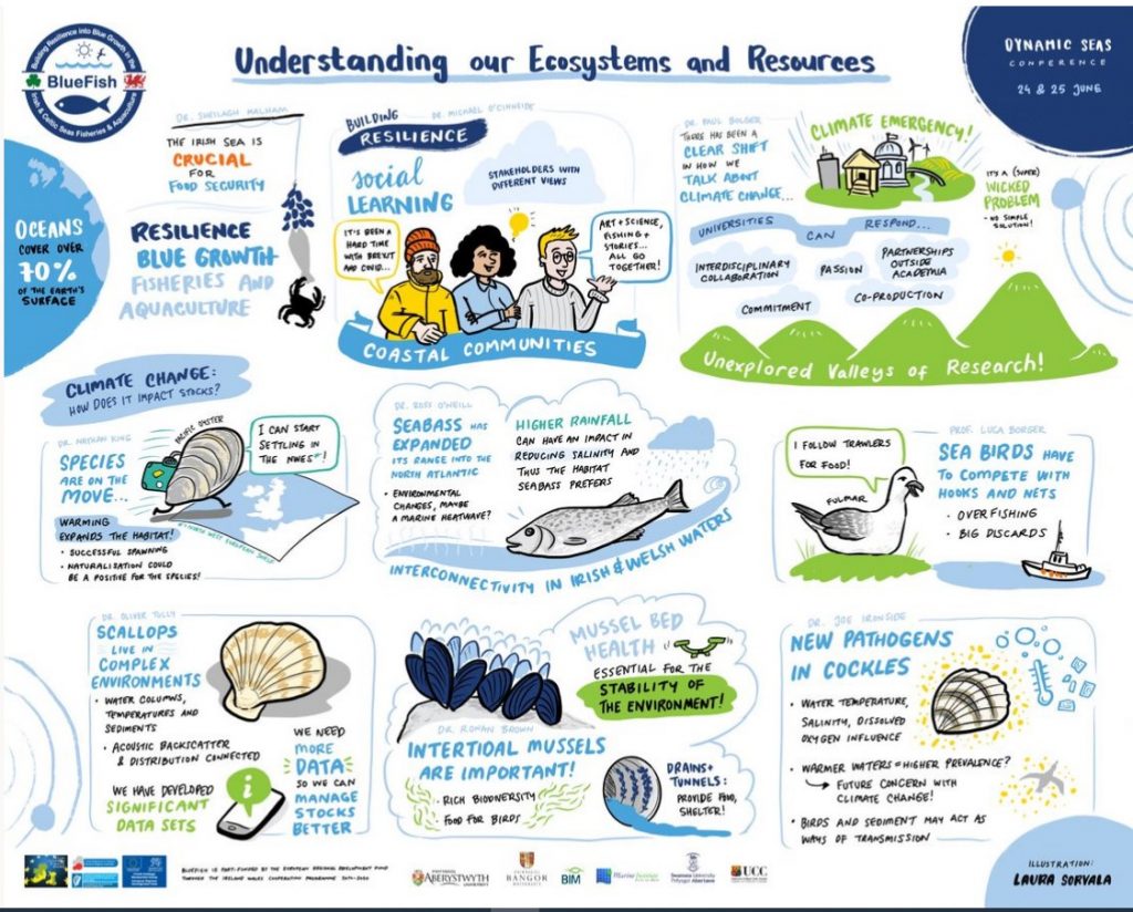 Understanding our Ecosystems and Resources